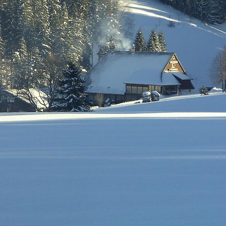 Готель Thaelerhaeusle Фуртванґен Екстер'єр фото